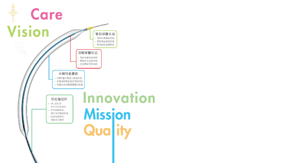 高性能PTA球囊扩张导管