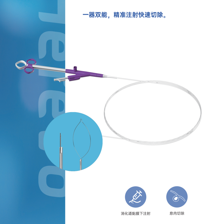 一次性使用带针电圈套器